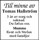 Ljusnan