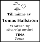 Ljusnan