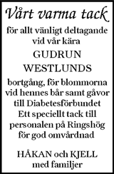 Ljusnan