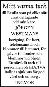 Ljusnan