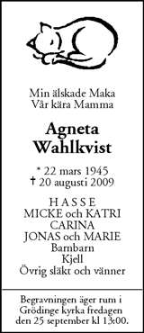 Mitt i Botkyrka-Salem