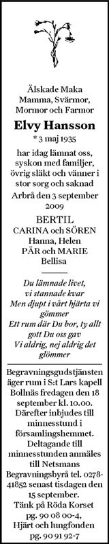 Hudiksvalls Tidning,Ljusnan