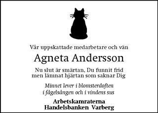 Hallands Nyheter