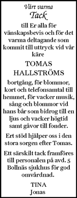 Ljusnan
