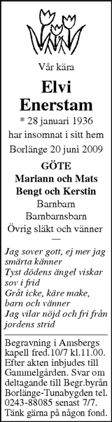 Borlänge Tidning,Falu-Kuriren,Södra Dalarnes Tidning,Nya Ludvika Tidning