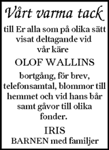 Ljusnan