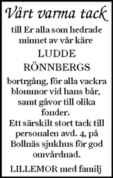 Ljusnan