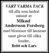 Tidningen Ångermanland,Örnsköldsviks Allehanda