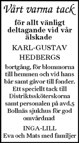 Ljusnan