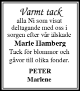 Tidningen Ångermanland,Örnsköldsviks Allehanda