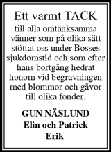Tidningen Ångermanland,Örnsköldsviks Allehanda