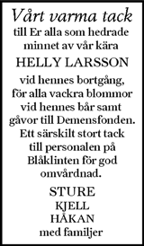 Ljusnan