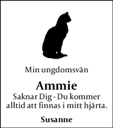 Östersunds-Posten