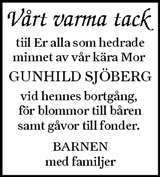 Ljusnan