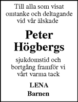 Borlänge Tidning,Falu-Kuriren,Södra Dalarnes Tidning,Nya Ludvika Tidning