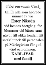 Tidningen Ångermanland,Örnsköldsviks Allehanda