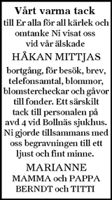 Ljusnan