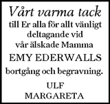 Ljusnan