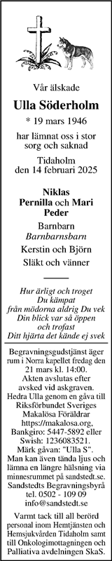 Webbannons