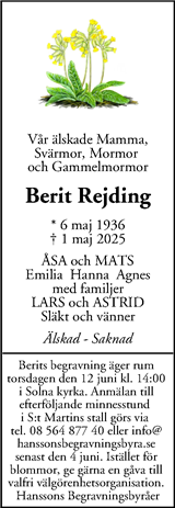 Mitt i Solna