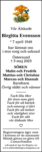 Östersunds-Posten,Länstidningen Östersund,Östersunds-Posten + Länstidningen Östersund