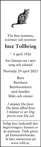 Svenska Dagbladet