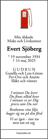 Mitt i Botkyrka-Salem
