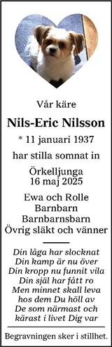 Nordvästra Skånes Tidningar,Landskrona-Posten,Helsingborgs Dagblad
