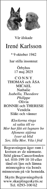 Upsala Nya Tidning