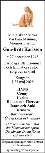 Magazin24