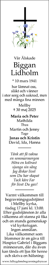 Nya Lidköpings-Tidningen