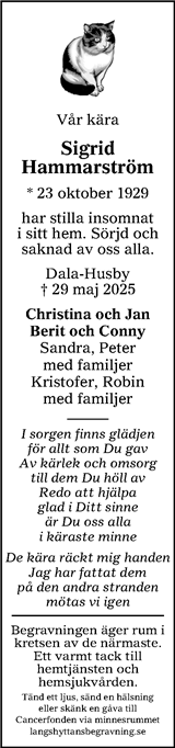 Lokalt i Dalarna (fd Annonsbladet Dalarna)