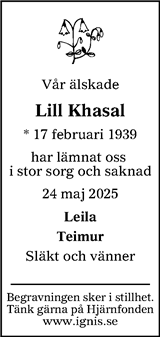 Ljusnan