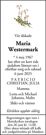 Mitt i Sigtuna