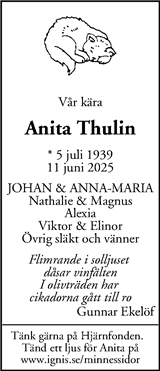 Mitt i Nacka/Värmdö