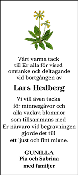 Lokalpressen Lerum