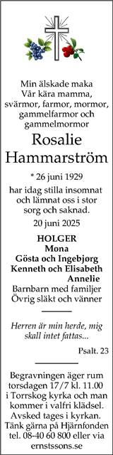 Dalslänningen