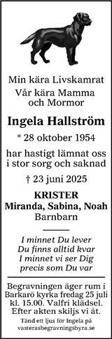 Vestmanlands Läns Tidning
