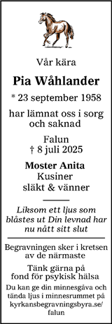 Lokalt i Dalarna (fd Annonsbladet Dalarna)
