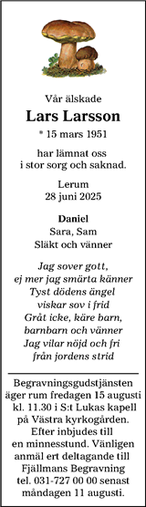 Lokalpressen Lerum