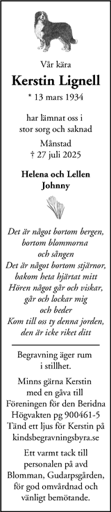 STT Tidningen