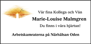 Falköpings Tidning,Västgöta-Bladet,Skaraborg Läns Tidning