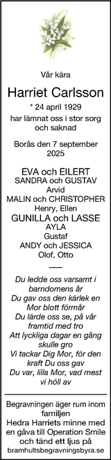 Borås Tidning