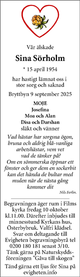 Annonsnytt Östhammar