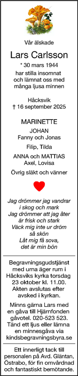 Borås Tidning