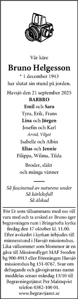 Dagen