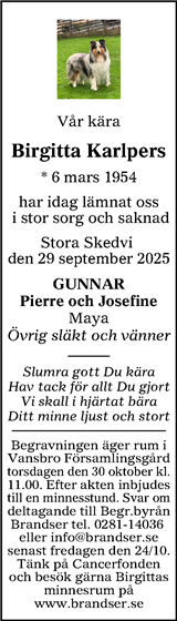 Lokalt i Dalarna (fd Annonsbladet Dalarna)