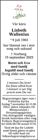 Lokalt i Dalarna (fd Annonsbladet Dalarna)