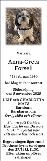 Norrköpings Tidningar