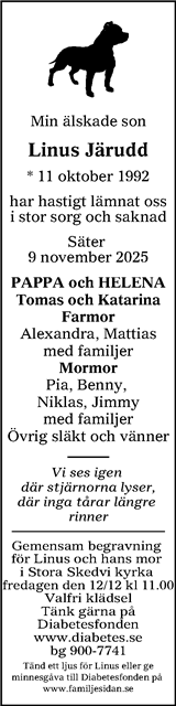Lokalt i Dalarna (fd Annonsbladet Dalarna)
